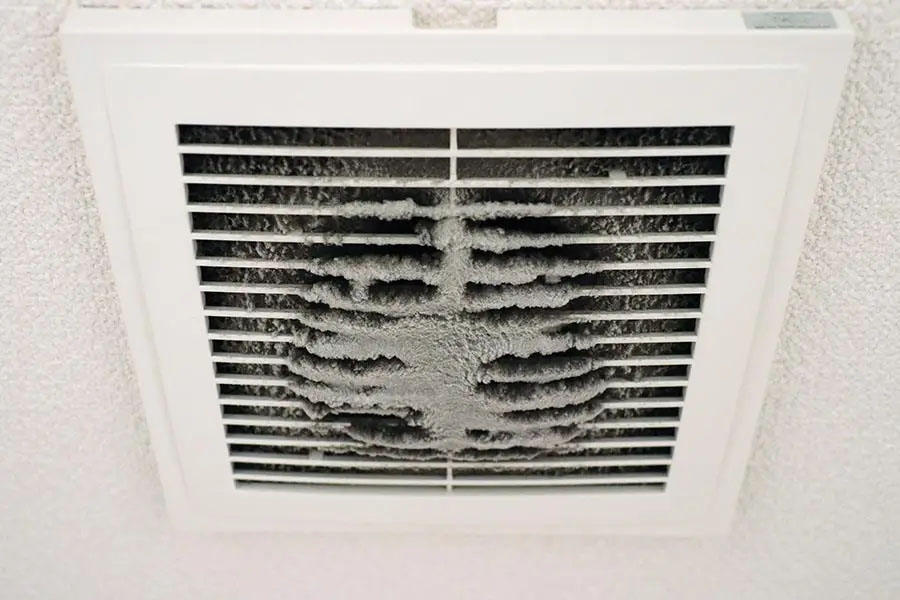 Dirty dryer vent